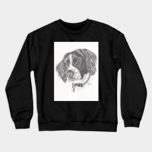 Springer Crewneck Sweatshirt